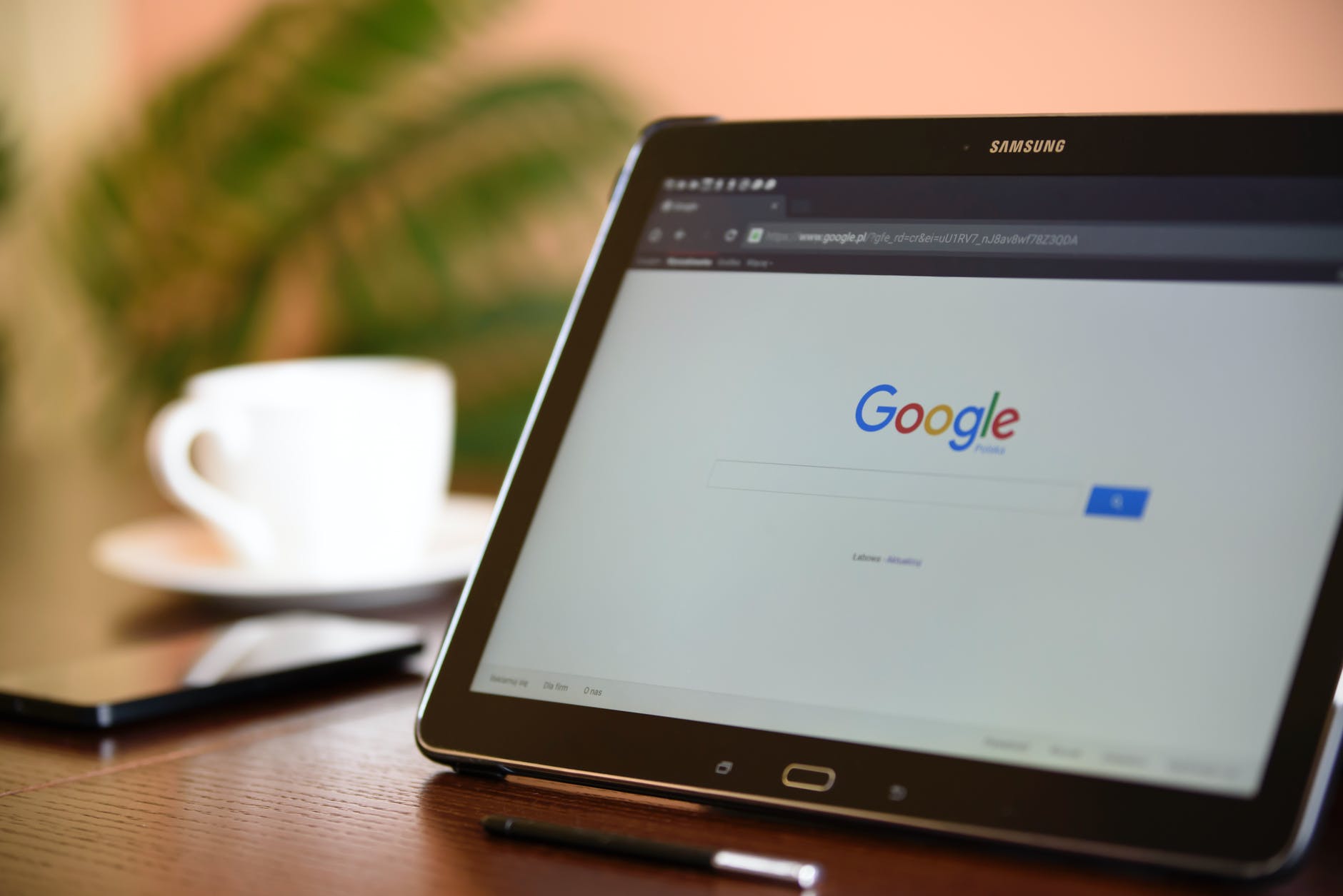 Google Ads Audience