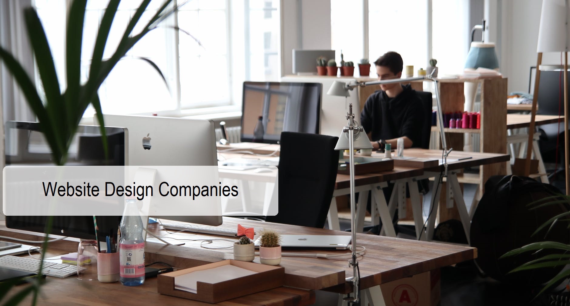 website design companies