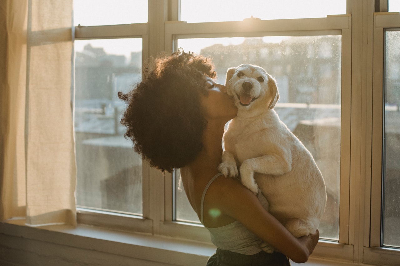 MOVING WITH PETS