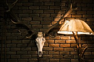 Latest Trends in Lighting Design?